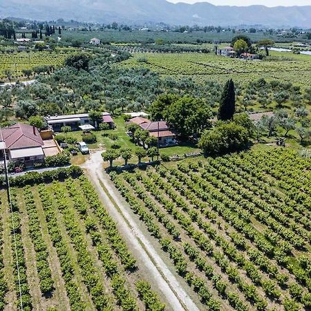Authentic Country House In Zakynthos Ambelokipoi  Esterno foto