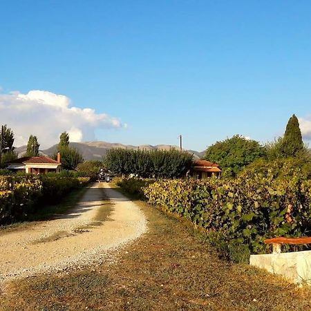 Authentic Country House In Zakynthos Ambelokipoi  Esterno foto