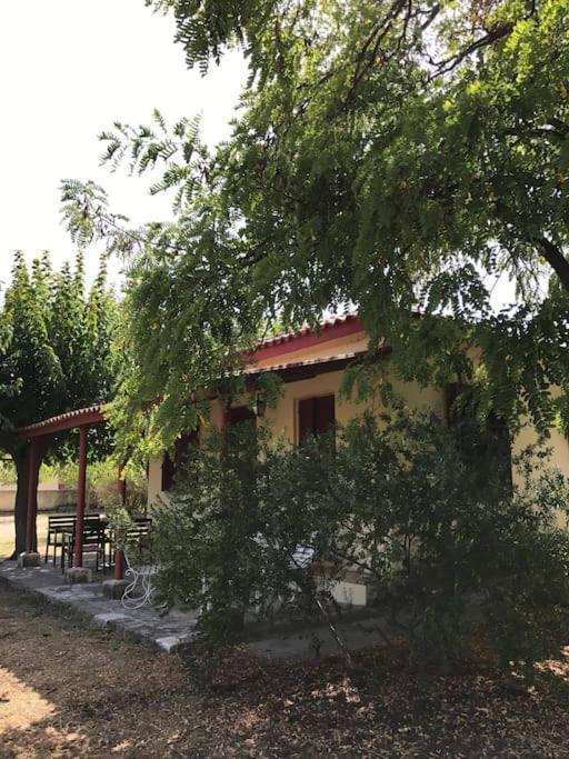 Authentic Country House In Zakynthos Ambelokipoi  Esterno foto