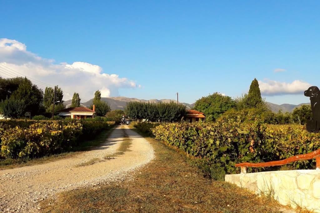Authentic Country House In Zakynthos Ambelokipoi  Esterno foto
